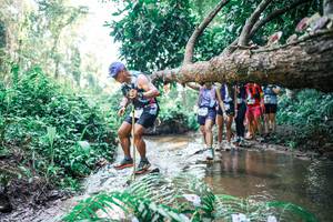 BIB: 
                            <button type="button" onclick="openModal(25466967)" class="btn btn-primary btn-sm float-right btn-popup" data-toggle="modal" data-target=".modal-high-quality">
                        <i class="fas fa-shopping-cart"></i> Add to Cart
                    </button>
                                            <button type="button" onclick="isThisMe(25466967, true)" class="btn btn-success btn-sm float-right btn-popup btn-isme hidden" data-toggle="tooltip" data-placement="bottom" title="นี่คือรูปของคุณใช่ไหม คลิกที่นี่เพื่อเอาเข้าอัลบั้ม">
                        <i class="fas fa-plus"></i> Add to album
                    </button>
                    <button type="button" onclick="isThisMe(25466967, false)" class="btn btn-warning btn-sm float-right btn-popup btn-isnotme hidden">
                        <i class="fas fa-ban"></i> Remove from album
                    </button>